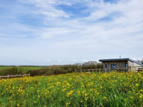 1 Bed in Bude 88499
